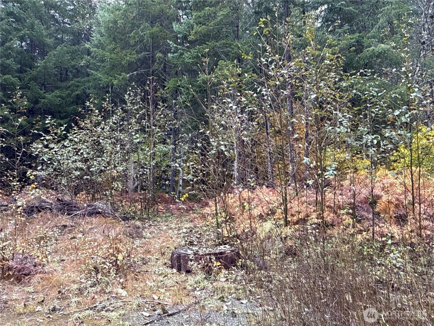 4 XX Forest Road 52 , Packwood, WA 99338