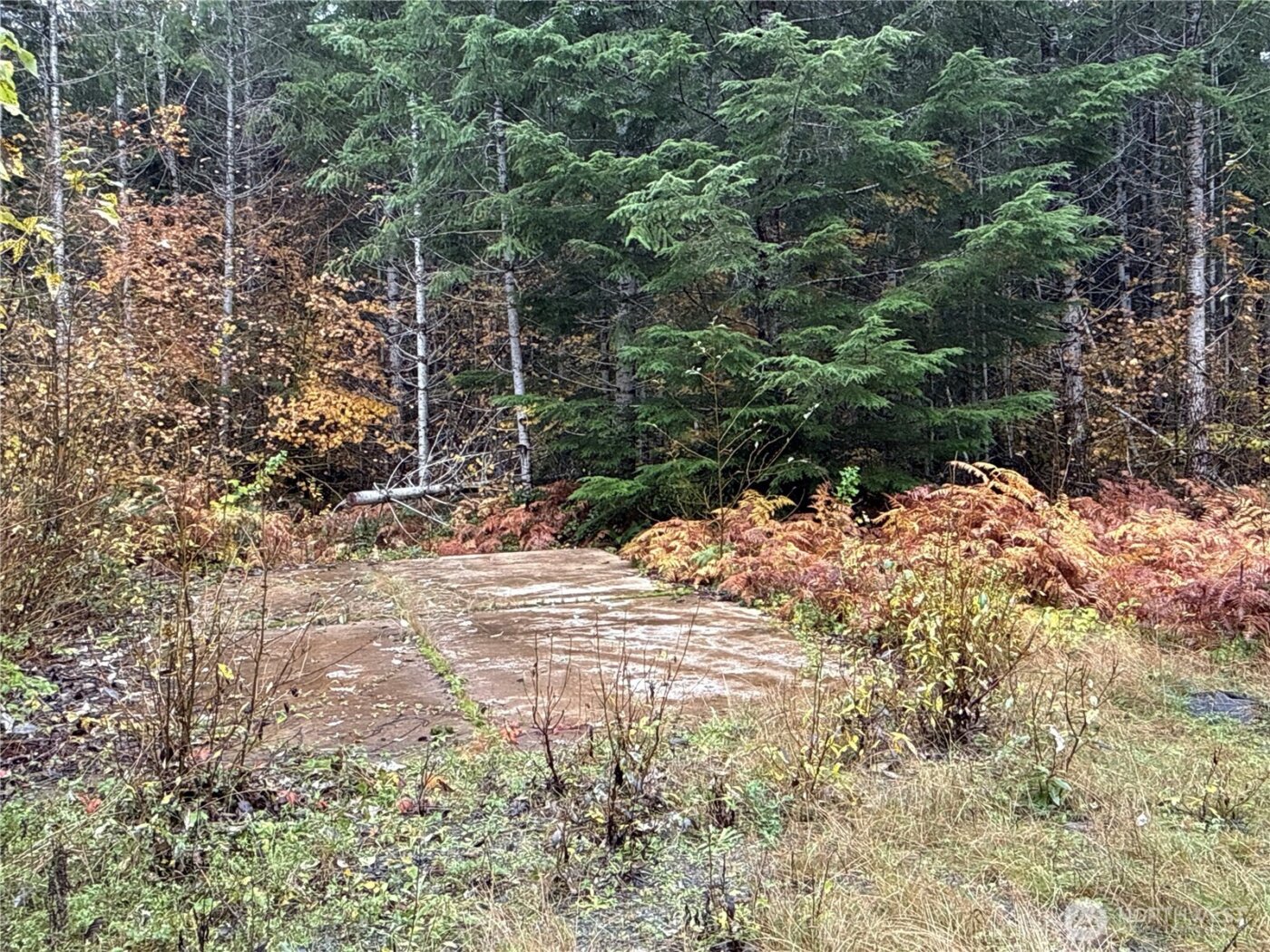 4 XX Forest Road 52 , Packwood, WA 99338