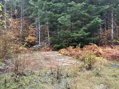 4 XX Forest Road 52 , Packwood, WA 99338 - Photo 17