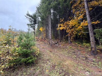 4 XX Forest Road 52 , Packwood, WA 99338 - Photo 3