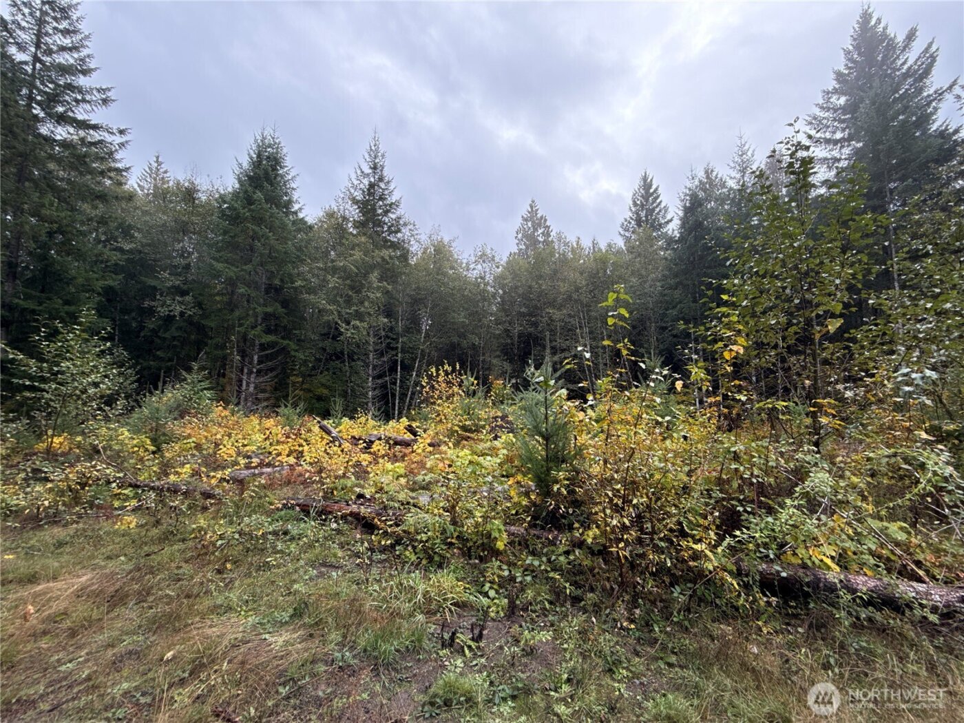 4 XX Forest Road 52 , Packwood, WA 99338