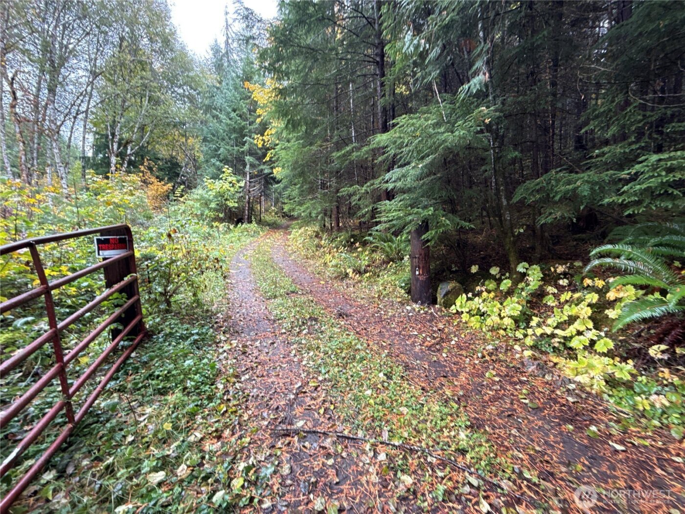 4 XX Forest Road 52 , Packwood, WA 99338