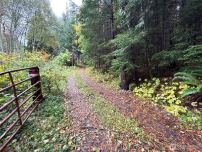 4 XX Forest Road 52 , Packwood, WA 99338 - Photo 31