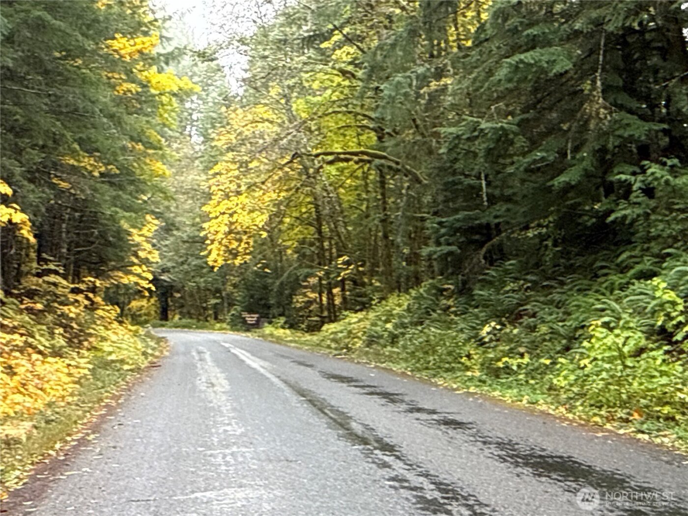 4 XX Forest Road 52 , Packwood, WA 99338