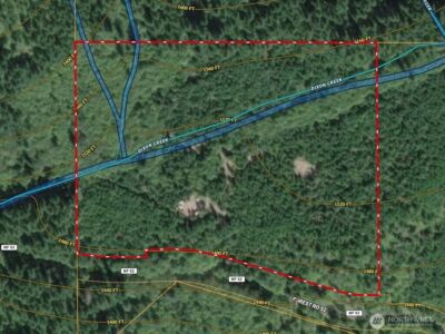 4 XX Forest Road 52 , Packwood, WA 99338 - Photo 33