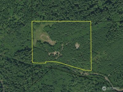 4 XX Forest Road 52 , Packwood, WA 99338 - Photo 34