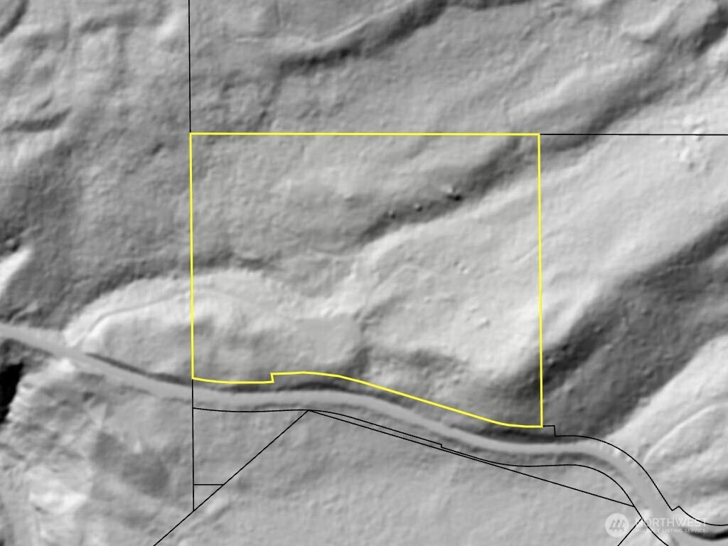 4 XX Forest Road 52 , Packwood, WA 99338