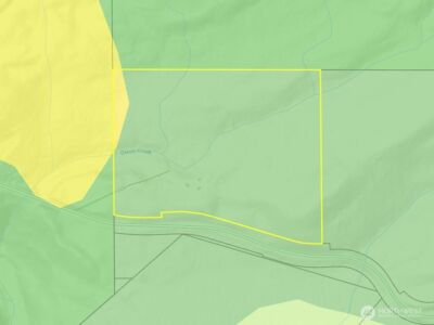 4 XX Forest Road 52 , Packwood, WA 99338 - Photo 40