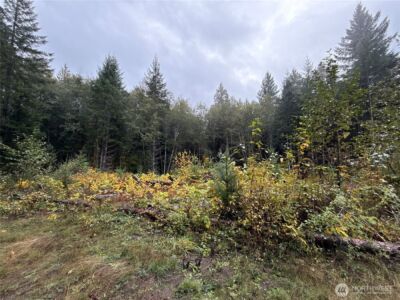 4 XX Forest Road 52 , Packwood, WA 99338 - Photo 4