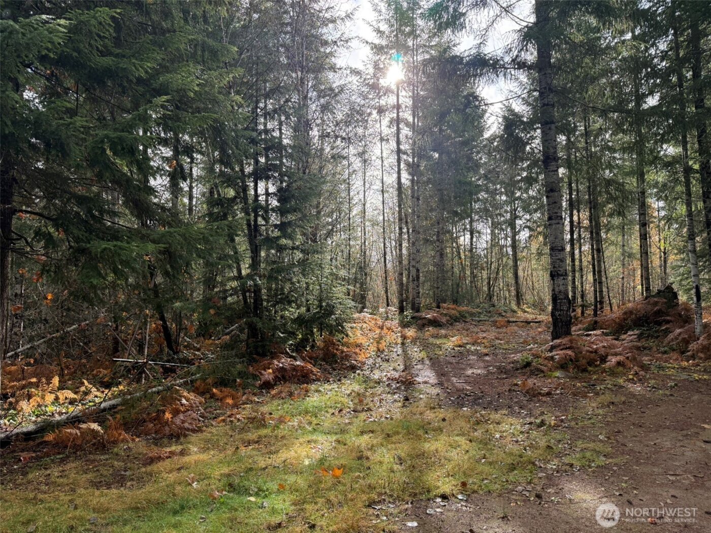 4 XX Forest Road 52 , Packwood, WA 99338