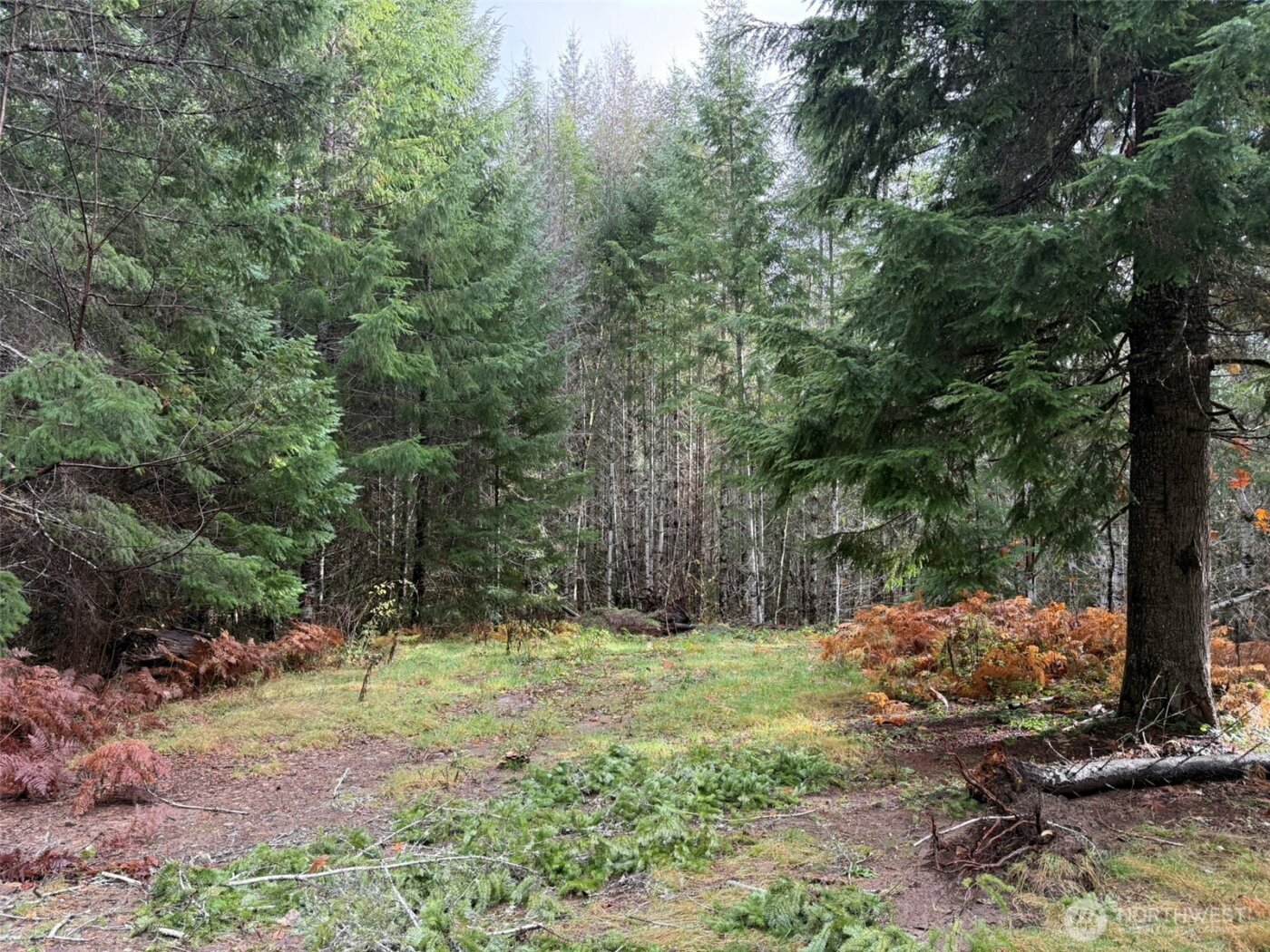 4 XX Forest Road 52 , Packwood, WA 99338