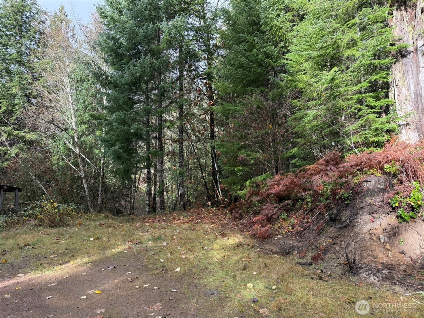 4 XX Forest Road 52 , Packwood, WA 99338