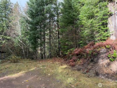 4 XX Forest Road 52 , Packwood, WA 99338 - Photo 7
