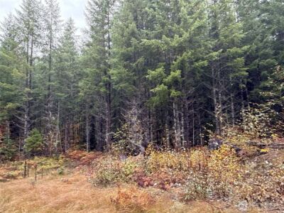 4 XX Forest Road 52 , Packwood, WA 99338 - Photo 8