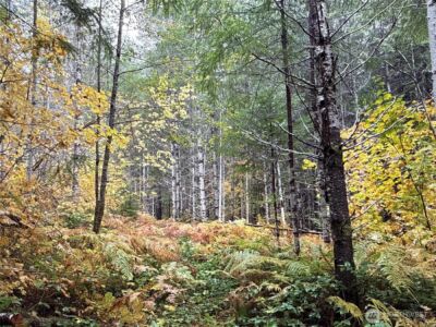 4 XX Forest Road 52 , Packwood, WA 99338 - Photo 10