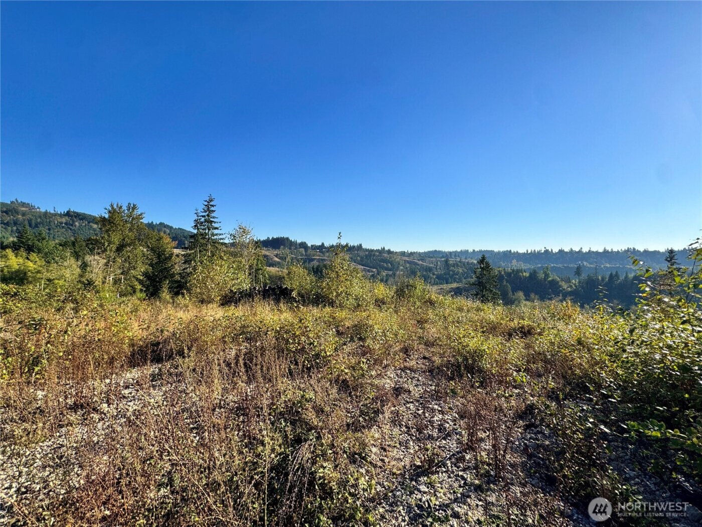 0 Grace Avenue , Kelso, WA 98626