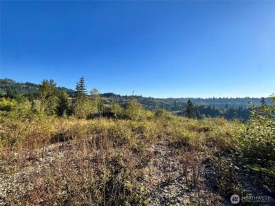 0 Grace Avenue , Kelso, WA 98626