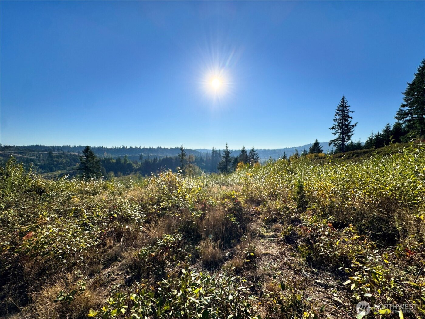 0 Grace Avenue , Kelso, WA 98626