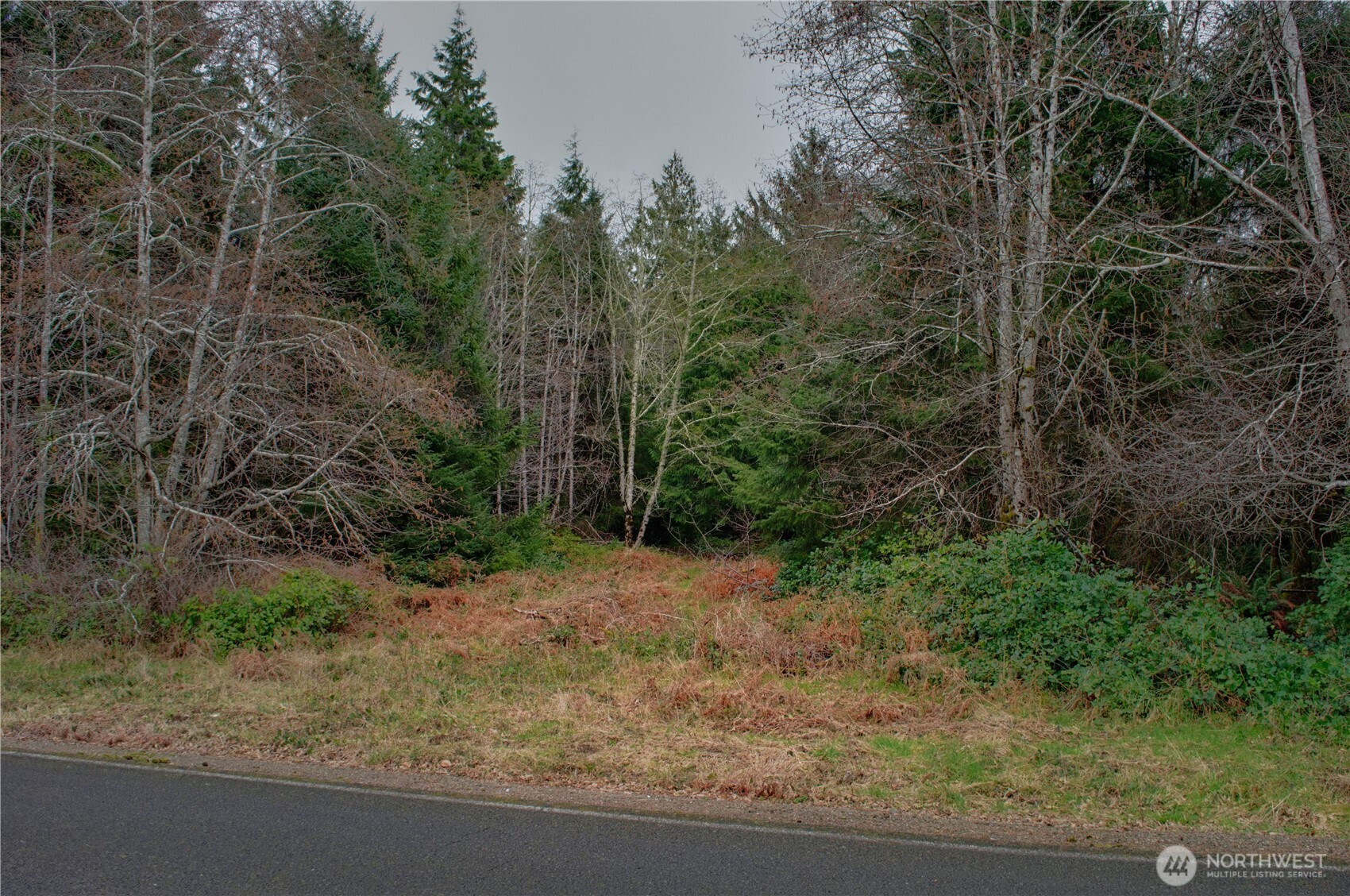 56 Ranta Road , South Bend, WA 98586