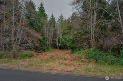 56 Ranta Road , South Bend, WA 98586 - Photo 1