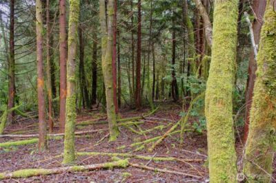 56 Ranta Road , South Bend, WA 98586 - Photo 4