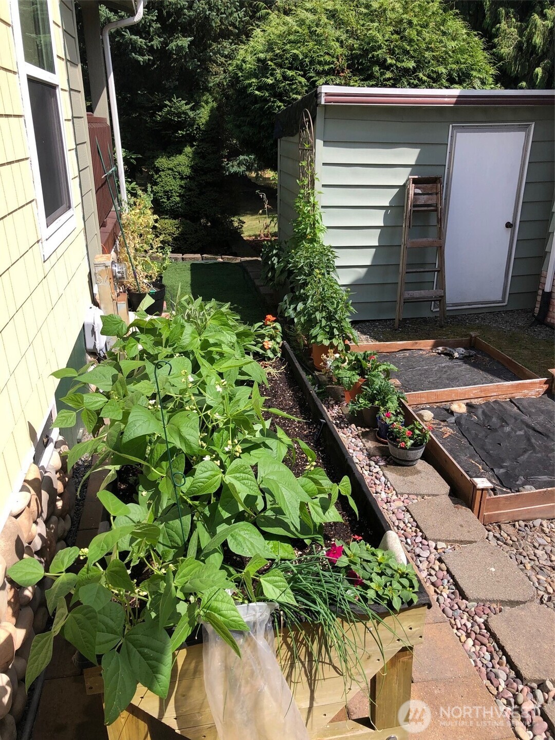 815 124th Street SW, Everett, WA 98204