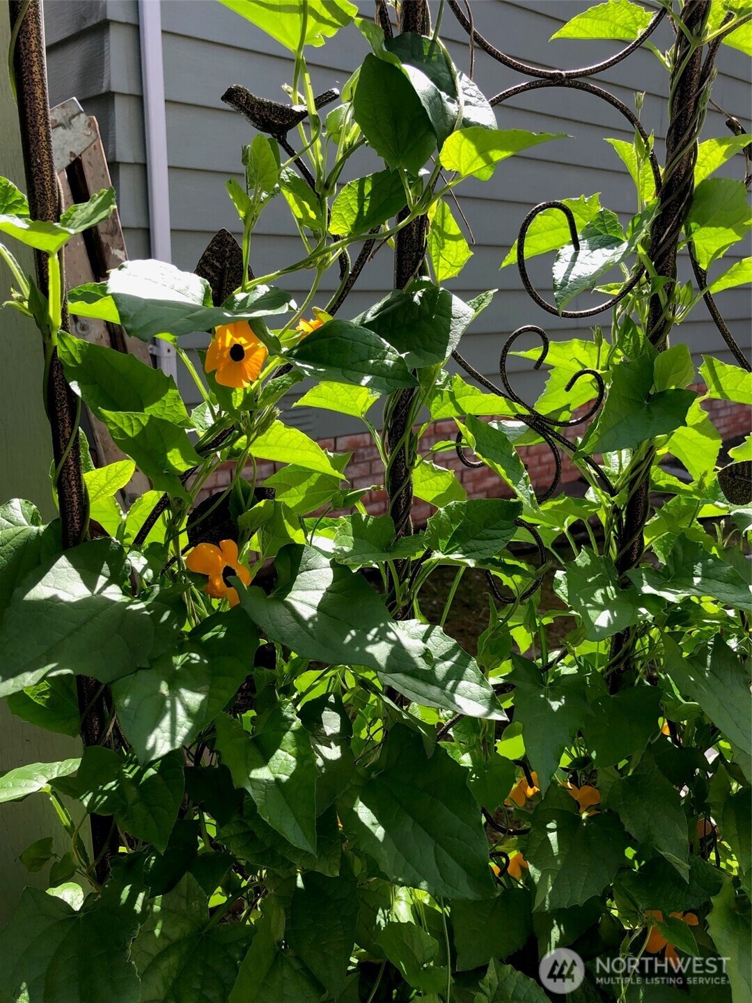 815 124th Street SW, Everett, WA 98204