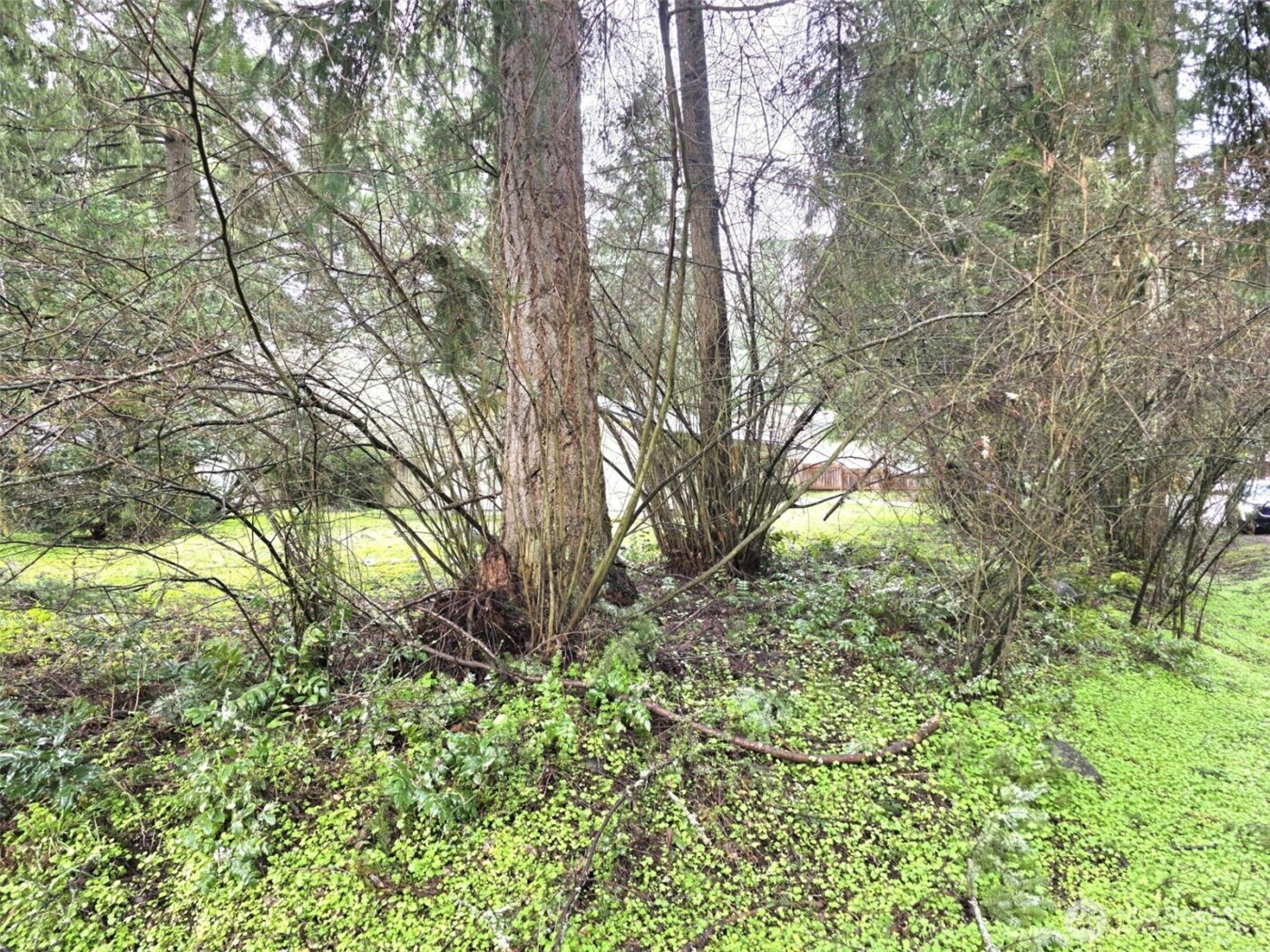 17819 Upland Drive SE, Yelm, WA 98597