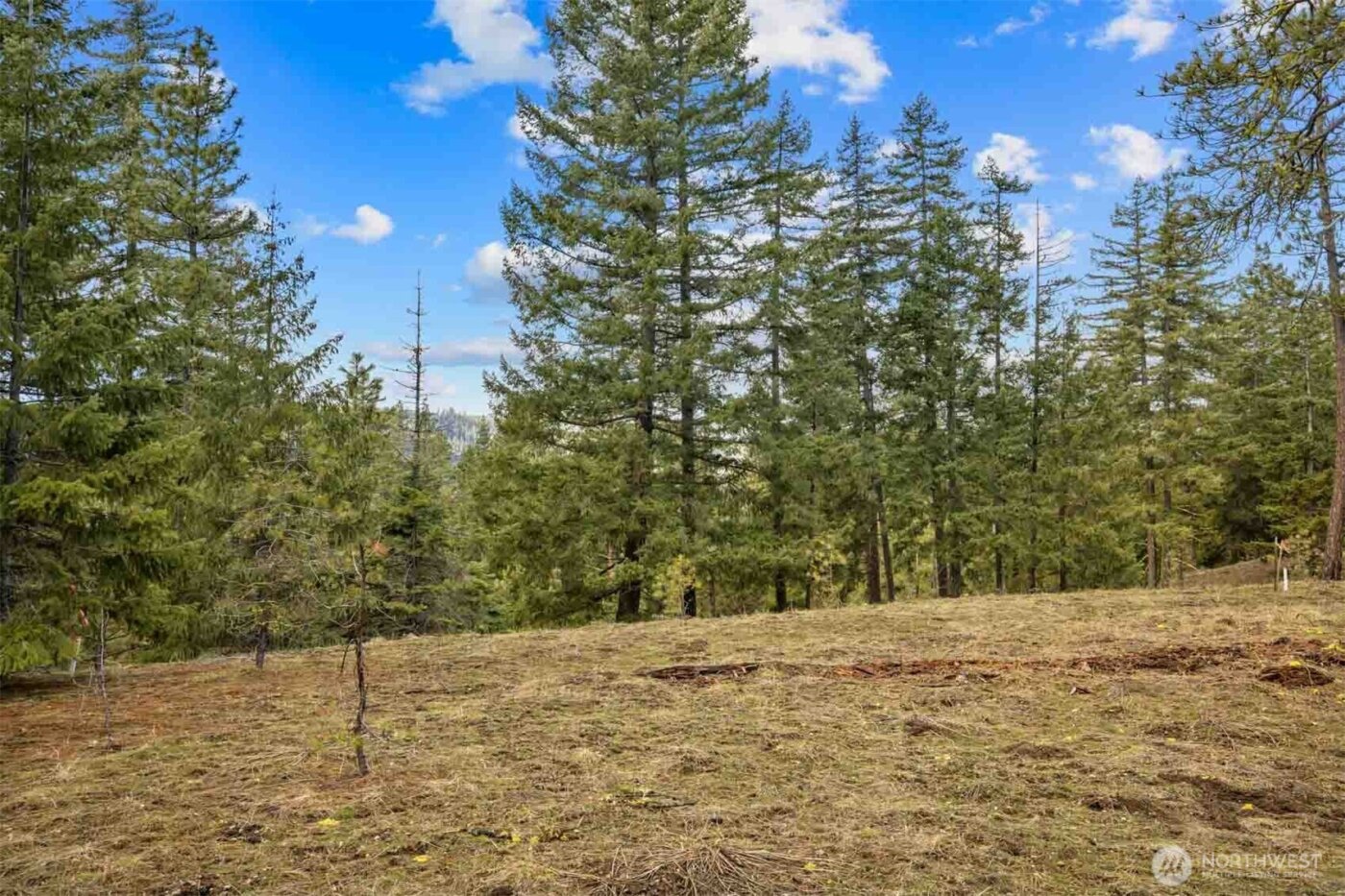 20 Wanawish Loop , Cle Elum, WA 98922