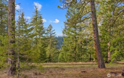 20 Wanawish Loop , Cle Elum, WA 98922