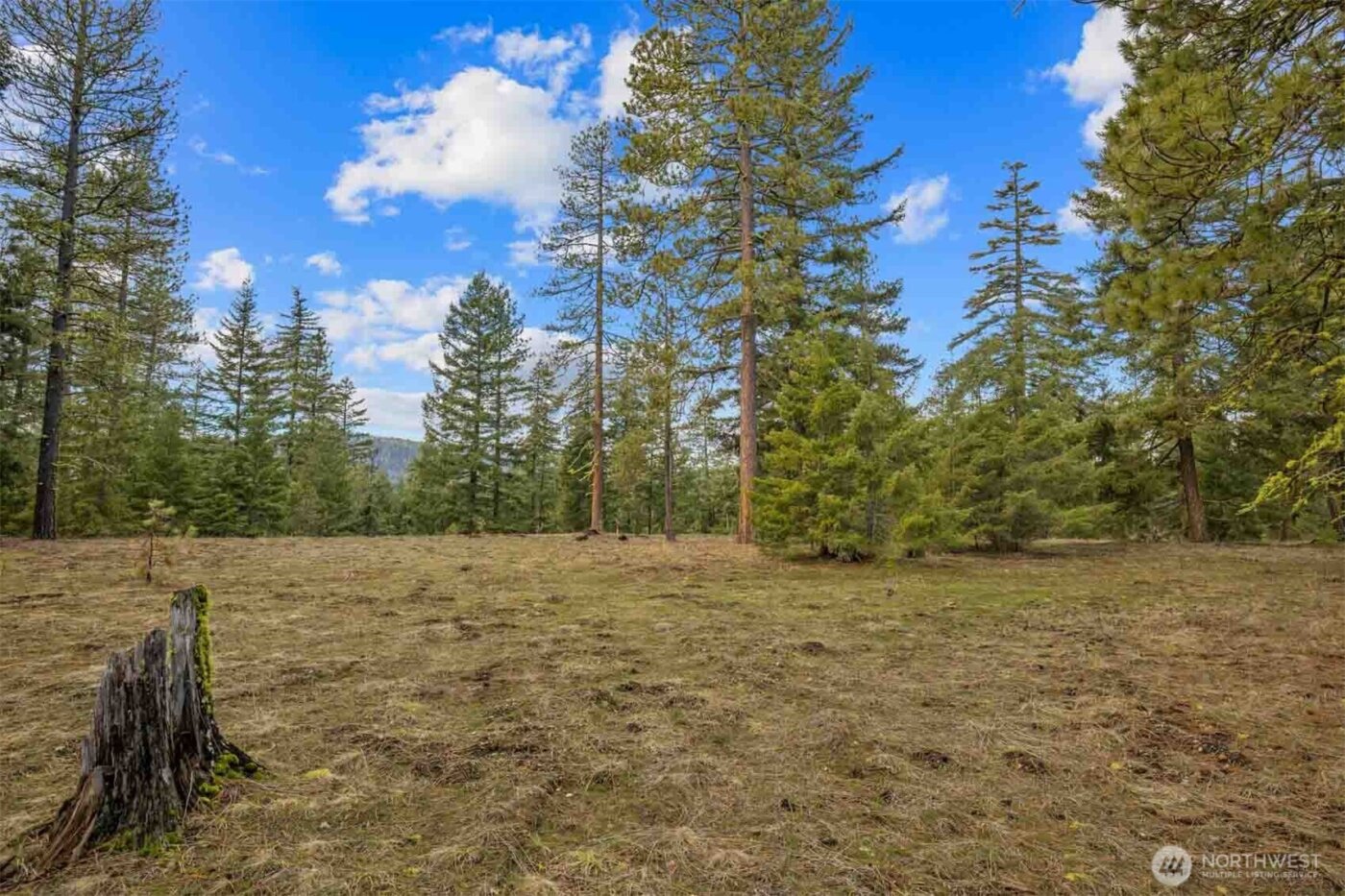 20 Wanawish Loop , Cle Elum, WA 98922