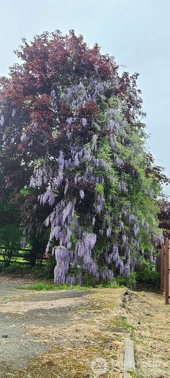 310 W Pine Street , Elma, WA 98541