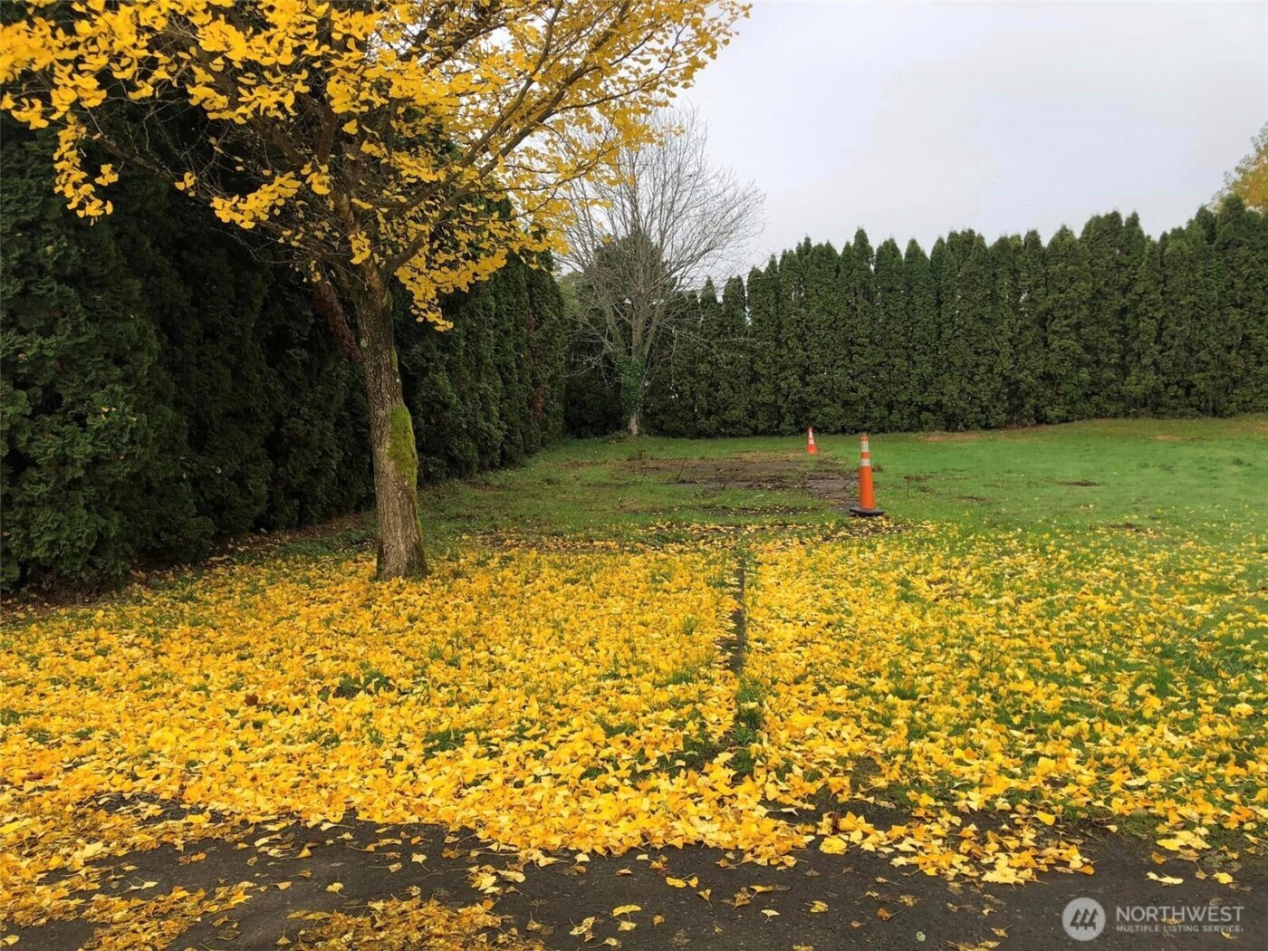 310 W Pine Street , Elma, WA 98541