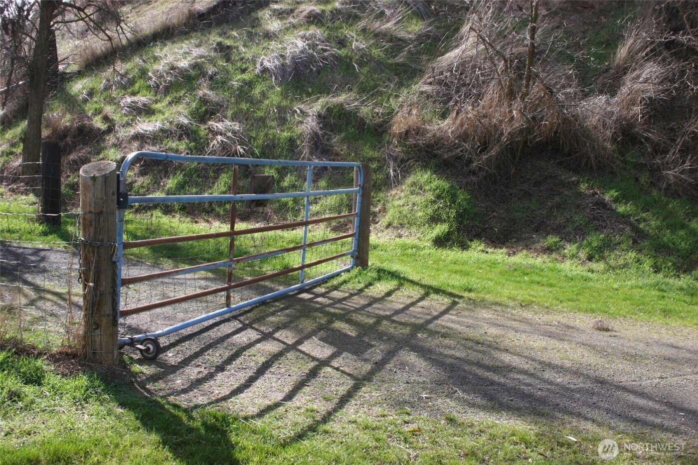 1411 Kellogg Hallow Road , Dayton, WA 99328