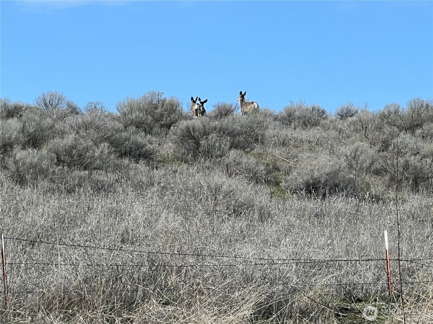 1411 Kellogg Hallow Road , Dayton, WA 99328