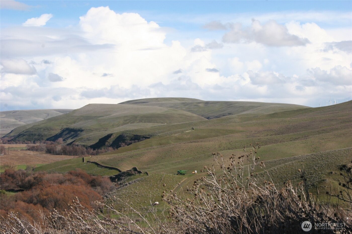 1411 Kellogg Hallow Road , Dayton, WA 99328