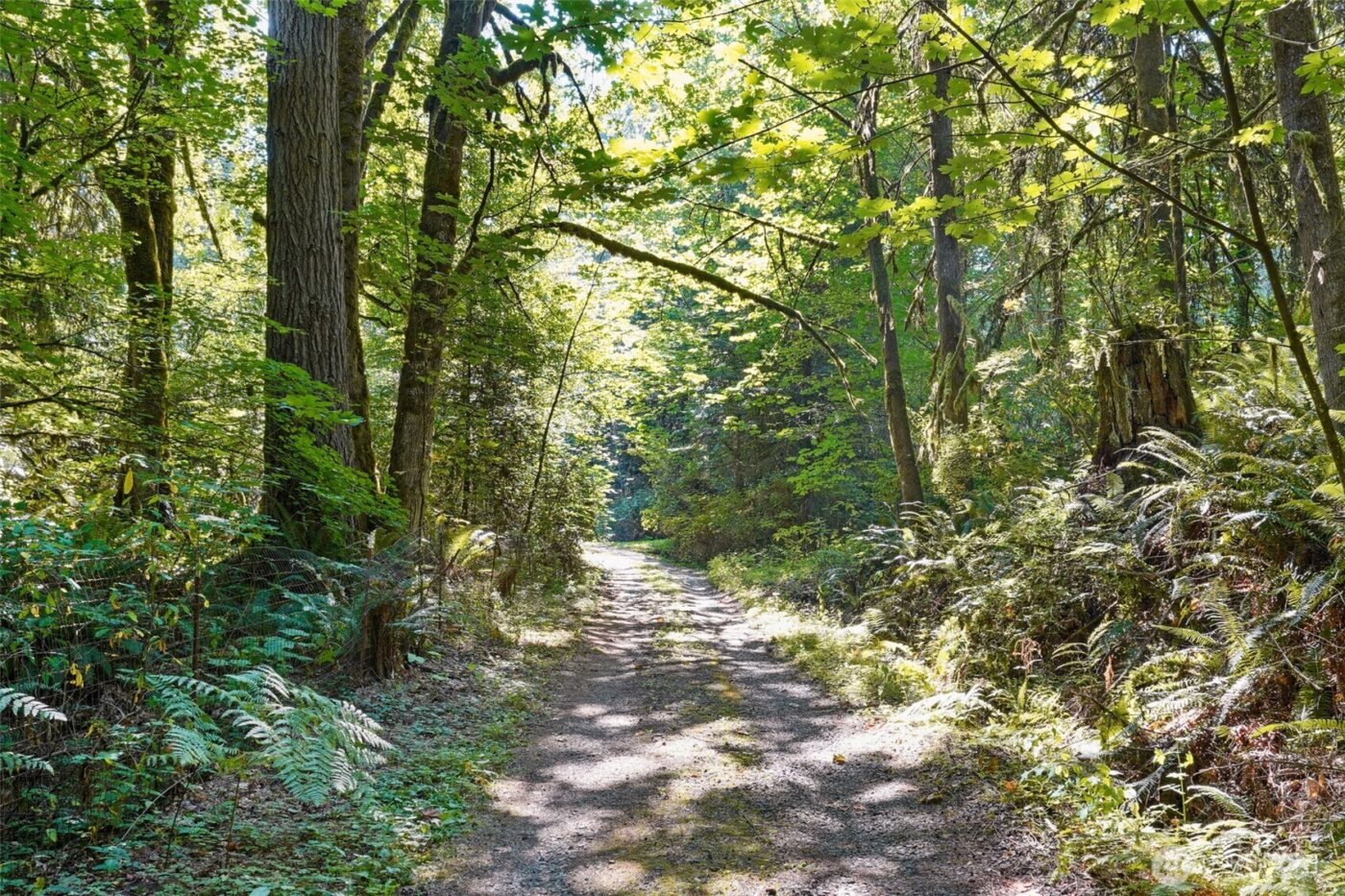 29021 NE 52nd Street , Carnation, WA 98014