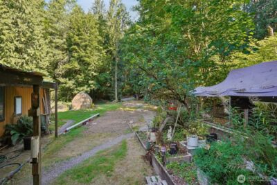 29021 NE 52nd Street , Carnation, WA 98014 - Photo 13