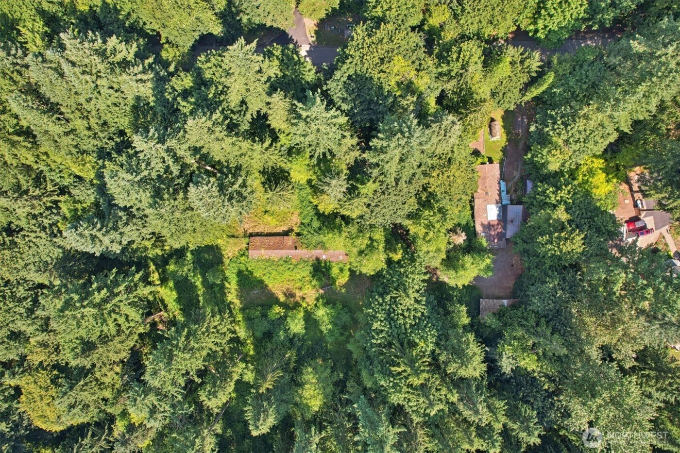 29021 NE 52nd Street , Carnation, WA 98014