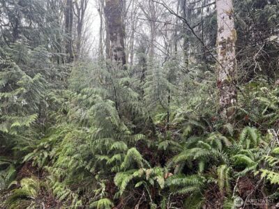 2601 Stonecrest Lane NW, Olympia, WA 98502 - Photo 2