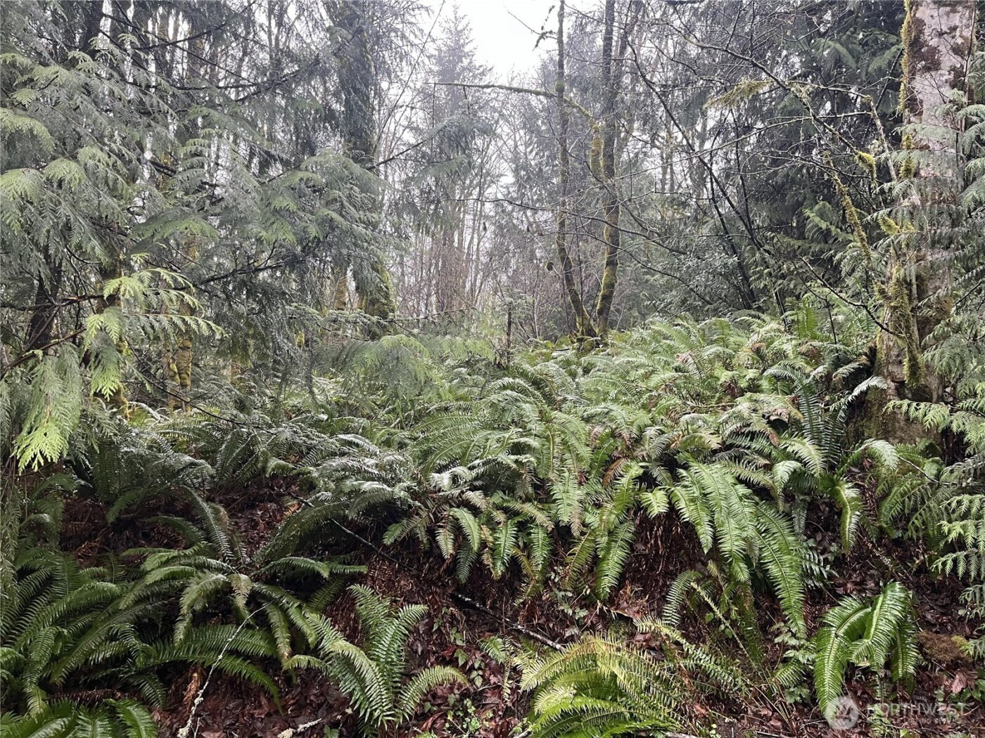 2601 Stonecrest Lane NW, Olympia, WA 98502