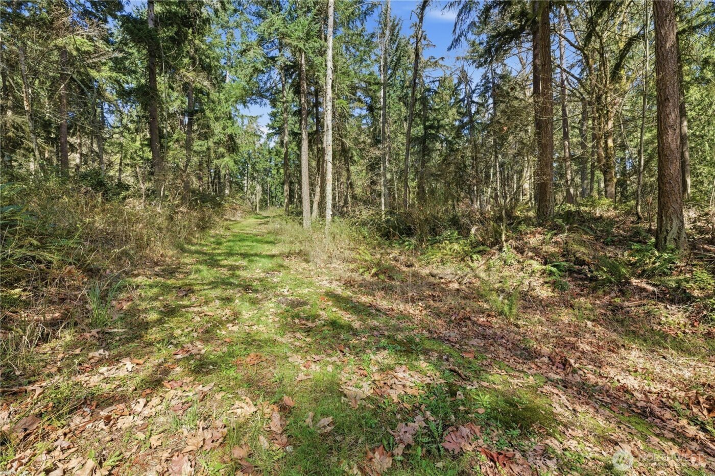 0 Clear Lake Road N, Eatonville, WA 98328
