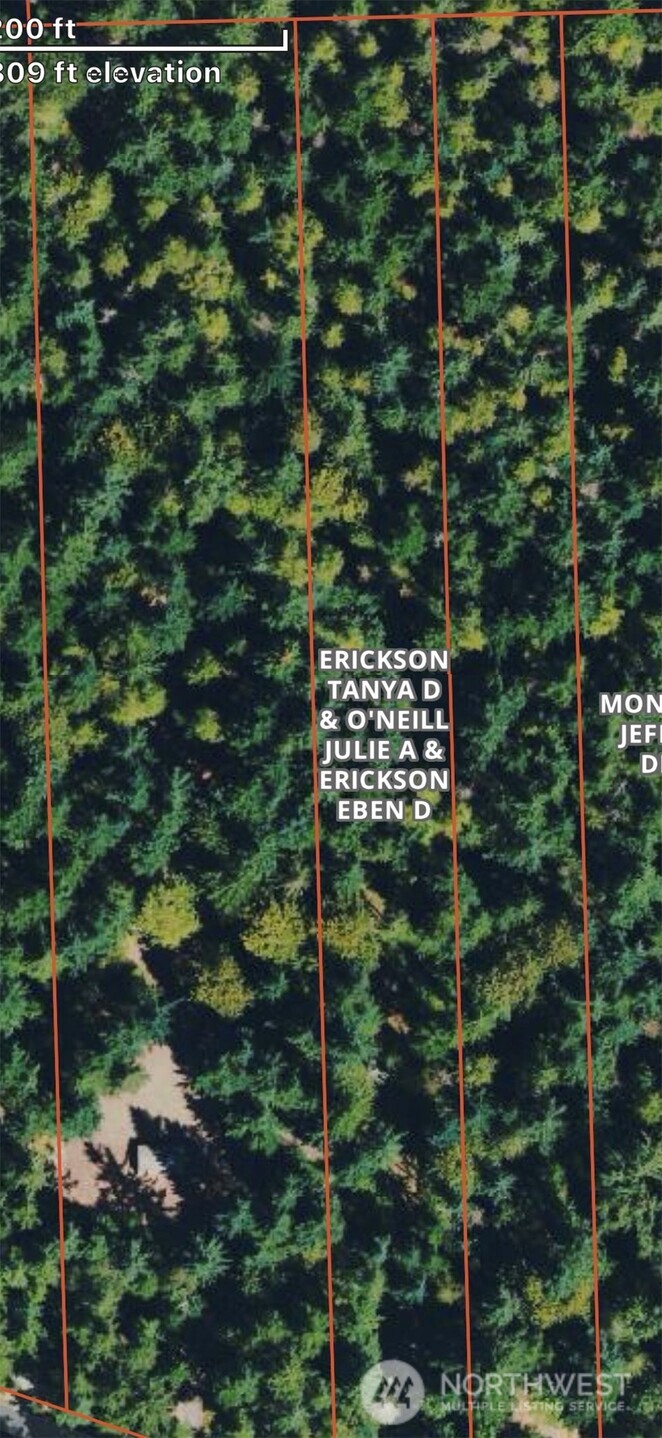 0 Clear Lake Road N, Eatonville, WA 98328