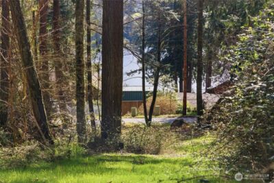 0 Clear Lake Road N, Eatonville, WA 98328 - Photo 7