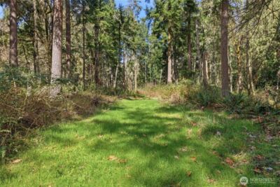 0 Clear Lake Road N, Eatonville, WA 98328 - Photo 9