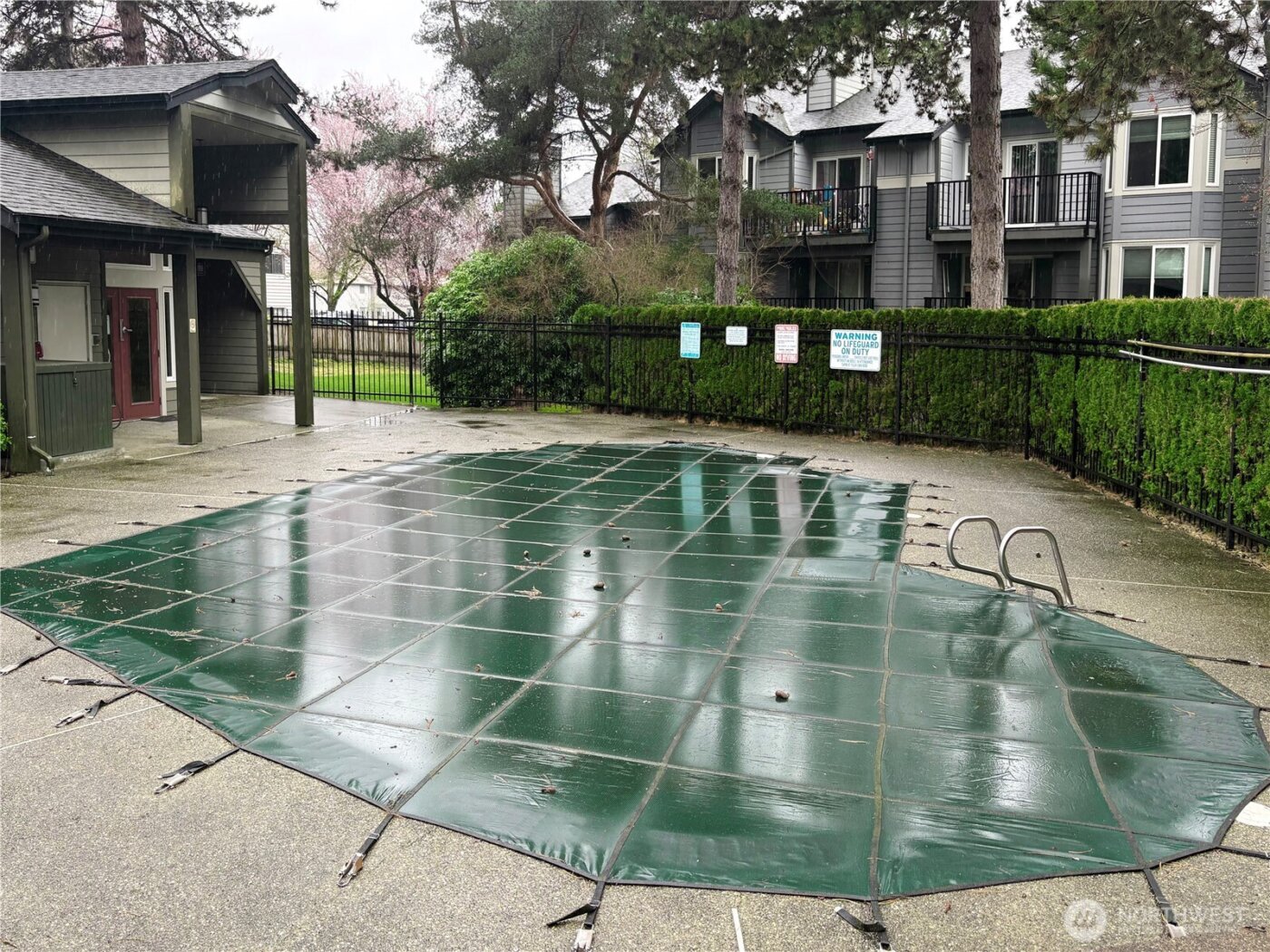 11103 NE 124th Lane #B205, Kirkland, WA 98034