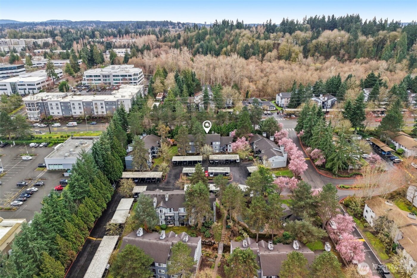 11103 NE 124th Lane #B205, Kirkland, WA 98034