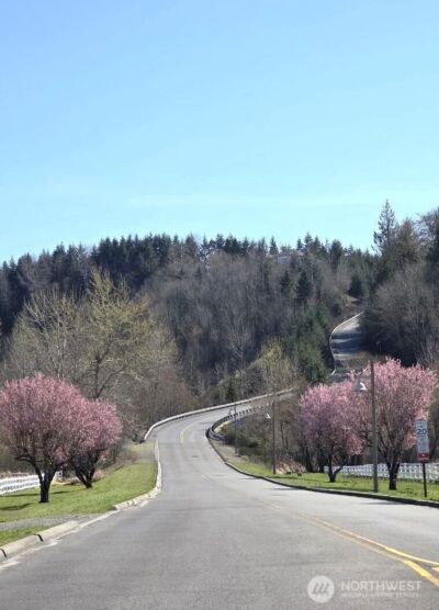 20702 190th Avenue E, Orting, WA 98360