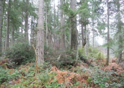 10315 107th Avenue Ct , Anderson Island, WA 98303