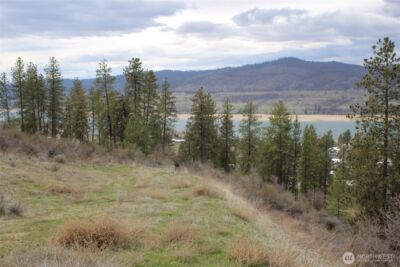 42195 Miles Creston Road N, Creston, WA 99122 - Photo 6
